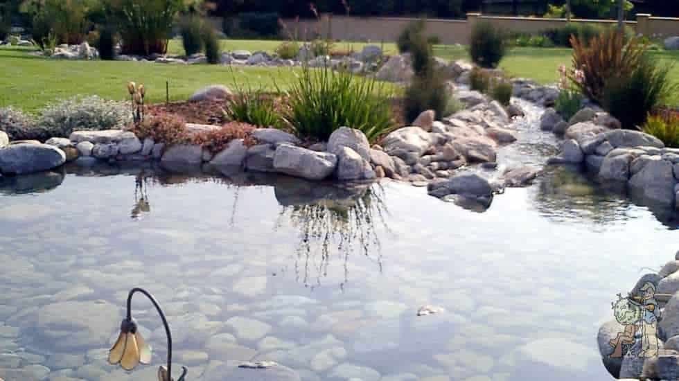 Landscape Construction Garden View Landscape, Nursery & Pools