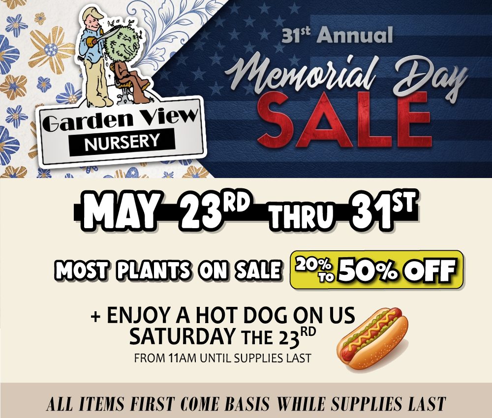 1 Memorial Day Sale