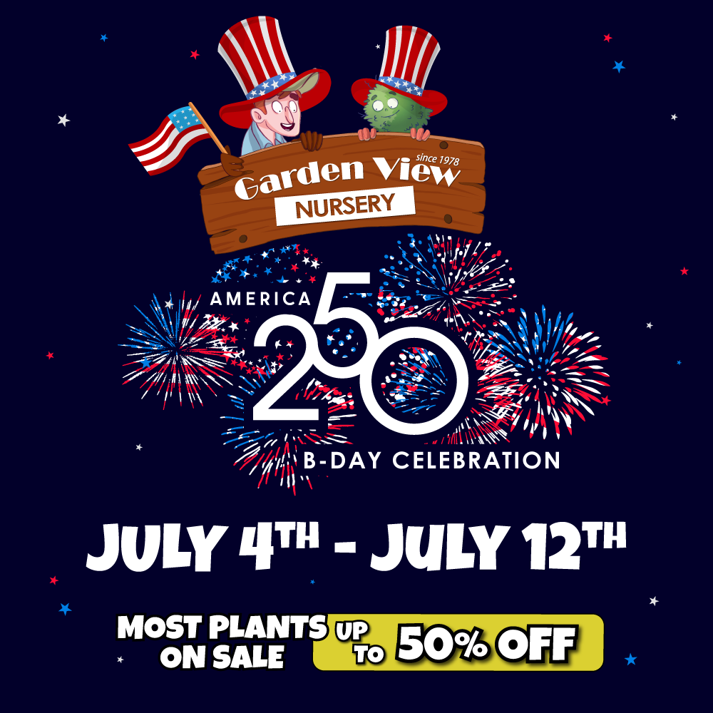 1 Festive July 4th-themed ad for Garden View Nursery’s America 250 B-Day Celebration, July 4th–12th. Cartoon characters in patriotic hats, fireworks, and text offering up to 50% off most plants.