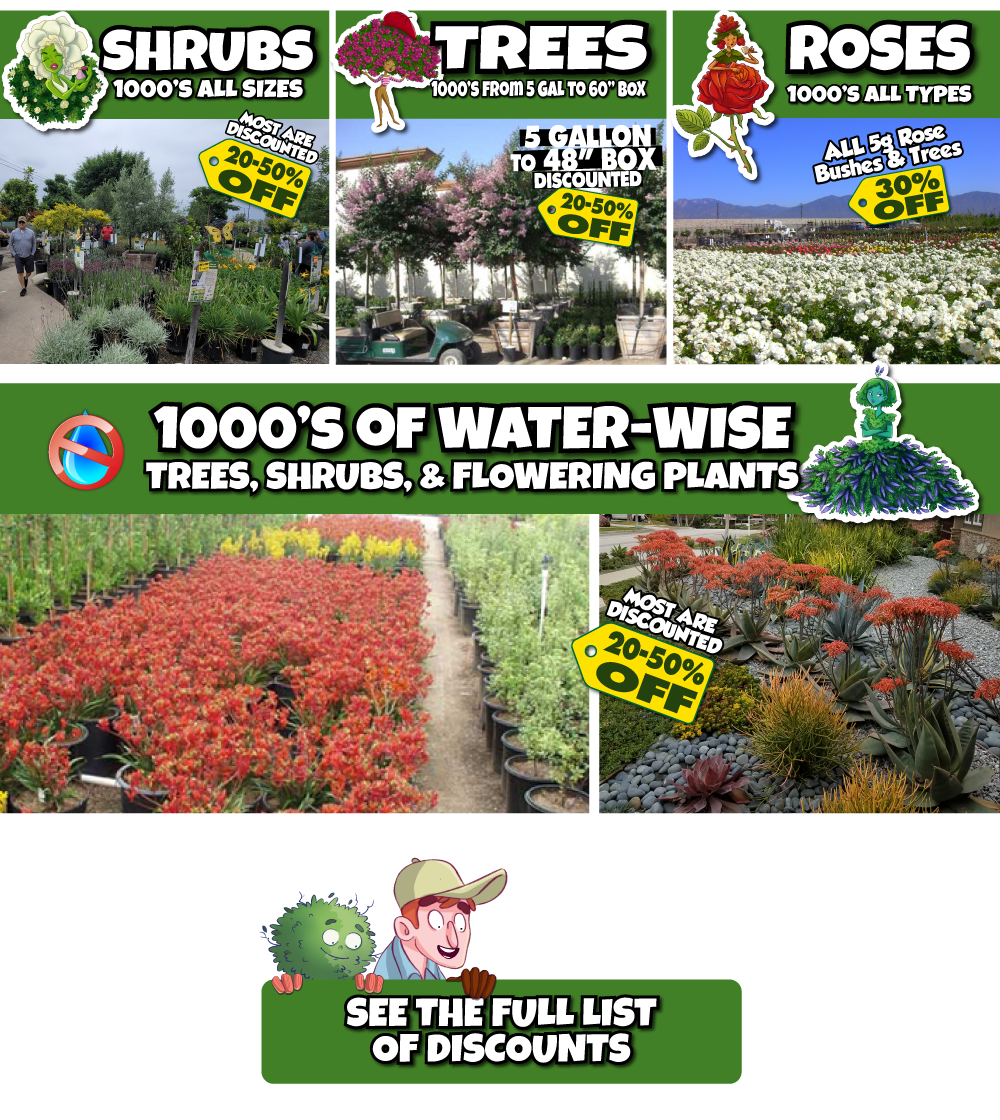 4 A promotional graphic for a plant nursery sale featuring categories of shrubs, trees, and roses, alongside photos of a large garden center, red flowering plants, and succulents, with a button to see the full list of discounts.