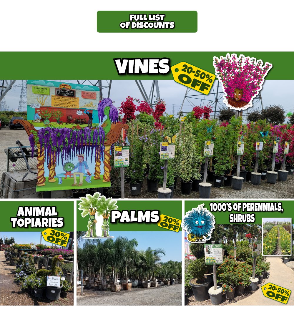 7 A collage with sections for plant discounts: vines (20–50% off), animal topiaries (30% off), palms (20% off), and 1000’s of perennials and shrubs (20–50% off), with colorful flowers and outdoor nursery plants.