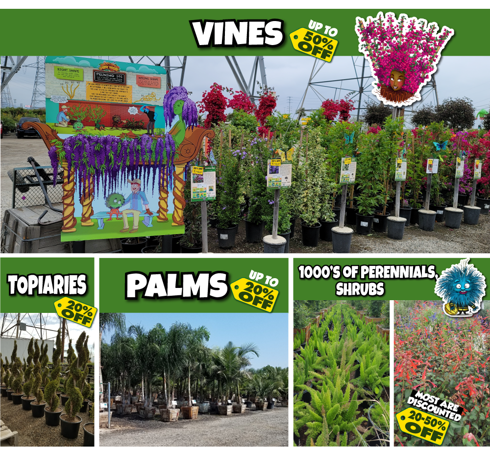 7 A garden center display featuring signs for various plants, including vines, topiary, palms, shrubs, and perennials, with discount labels ranging from 20% to 50% off.