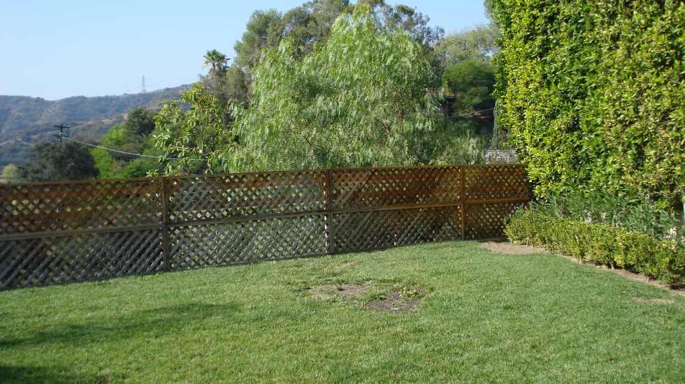 James Before Pool patio