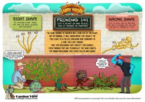 Pruning 101 infographic