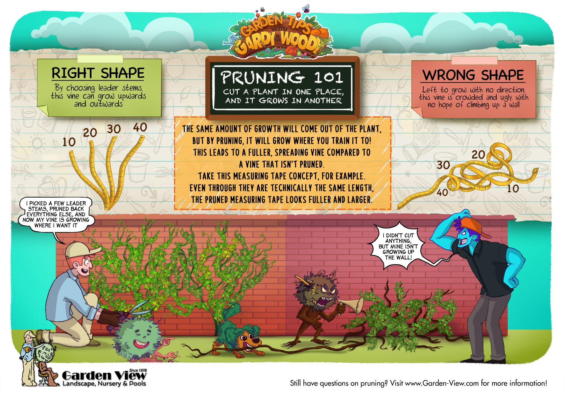 Pruning 101 infographic