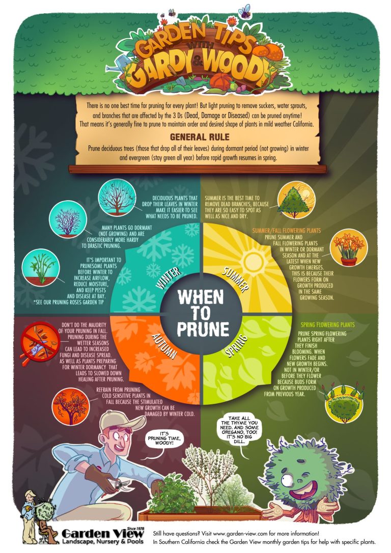 When to Prune (So You Help Your Plants—Not Hurt Them) - Garden View ...