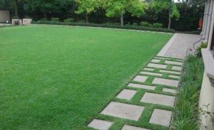 Lawn and Steppers in award winning Landscape Maintenance Account
