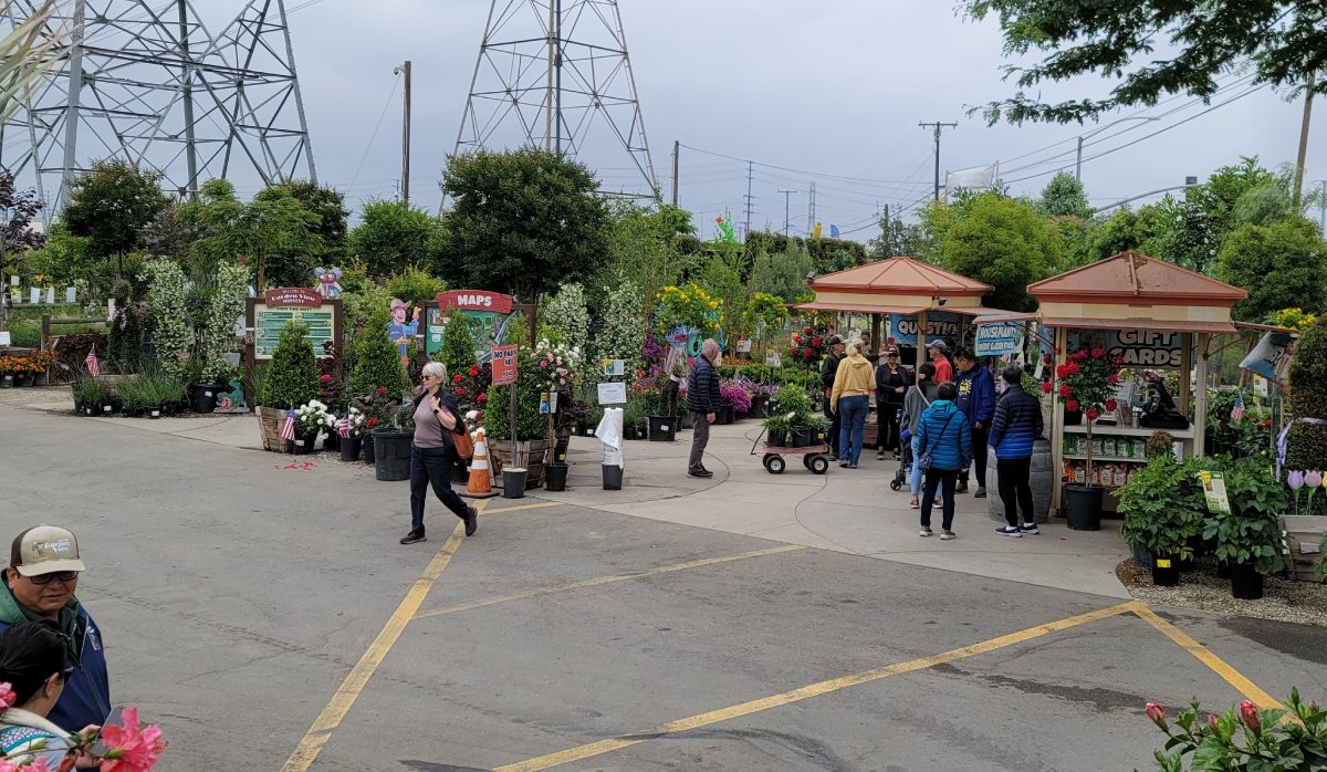 Front retail-style garden center display area at Garden View Nursery