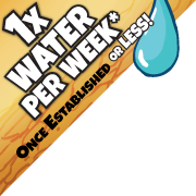 Look for the 1x water per week sticker