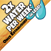 Look for the 2x water per week sticker