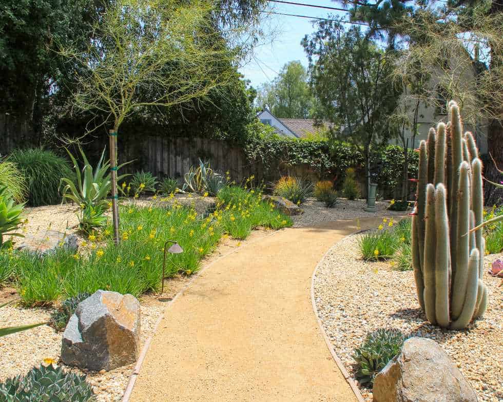 Altadena Backyard sustainable landscape with succulents, boulders, and decomposed granite
