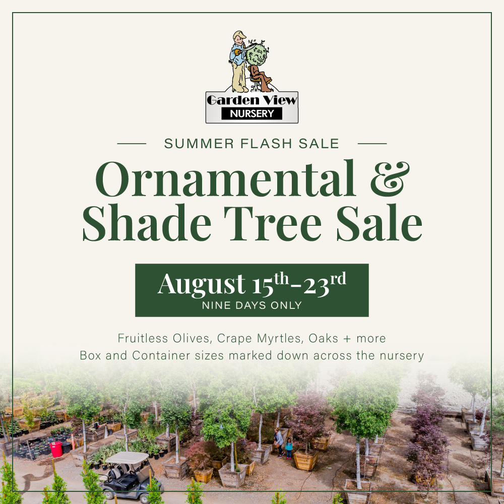 Flyer for Garden View Nursery’s Ornamental & Shade Tree Sale, August 15–23, showing trees in pots and sale details. Fruitless olives, crape myrtles, oaks, and more are mentioned.