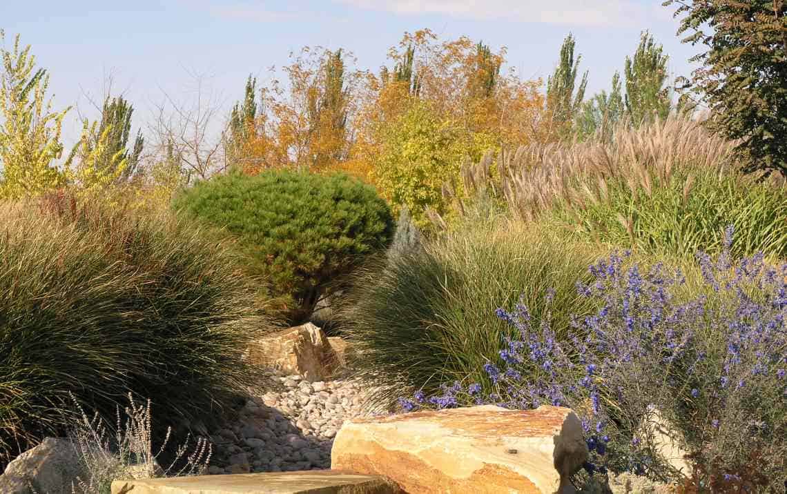 Drought Tolerant Landscape Design La Habra thumbnail